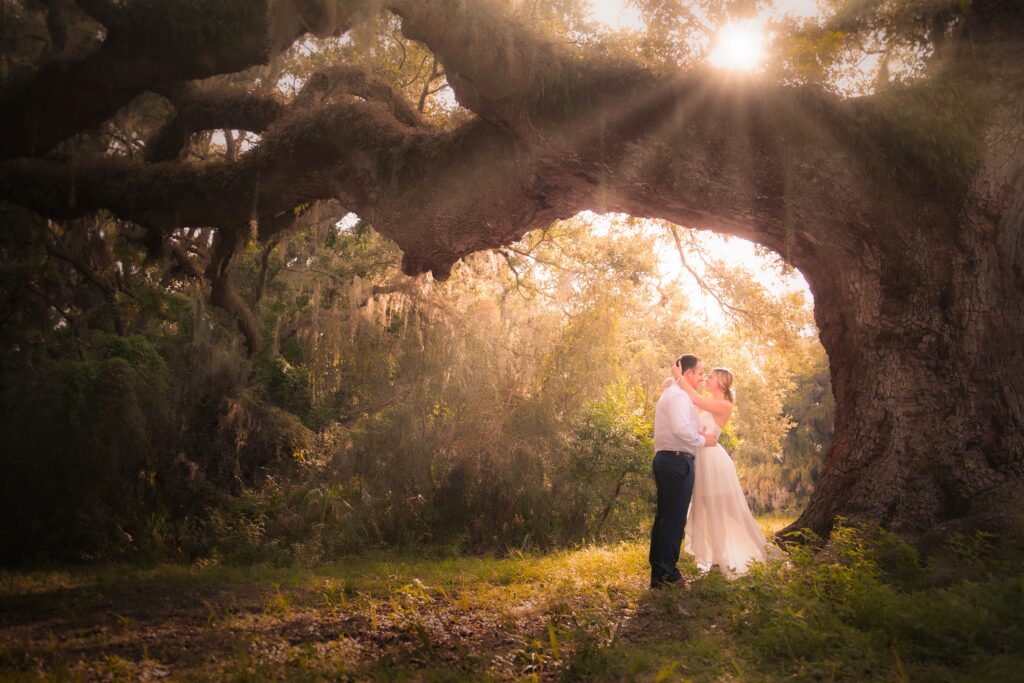 Engaged couple poses beneath oak tree with light rays at Philippe Park in Safety Harbor