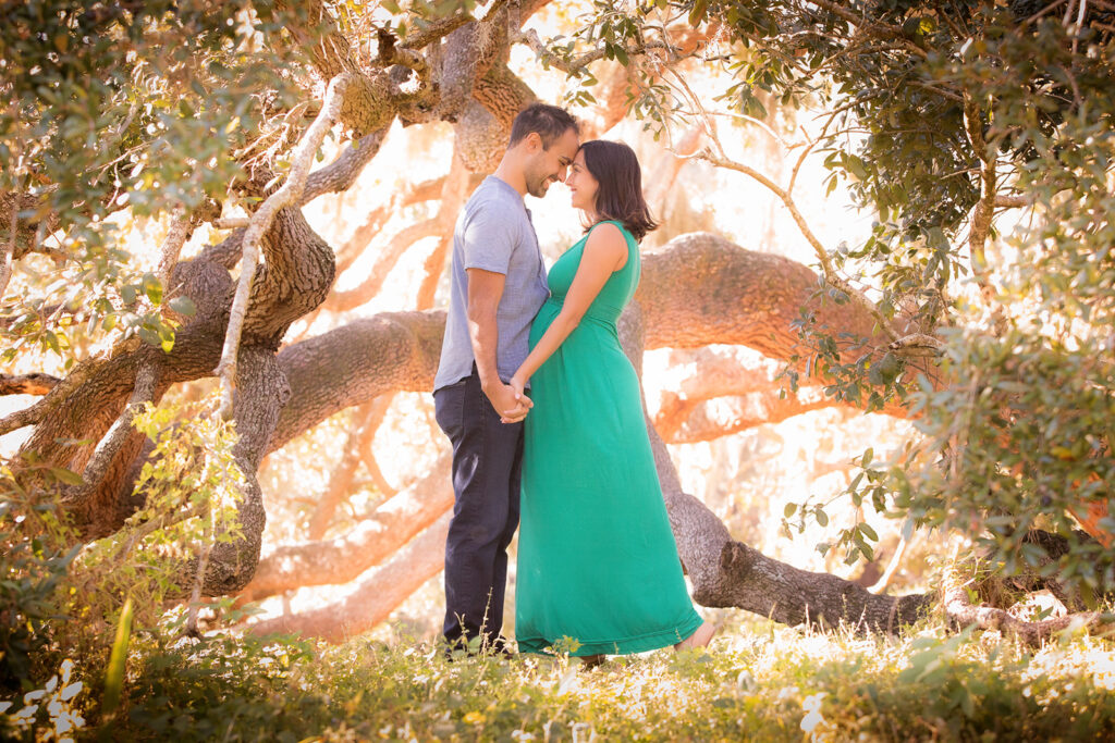 Pregnant couple poses by oak tree in Philippe Park in Safety Harbor
