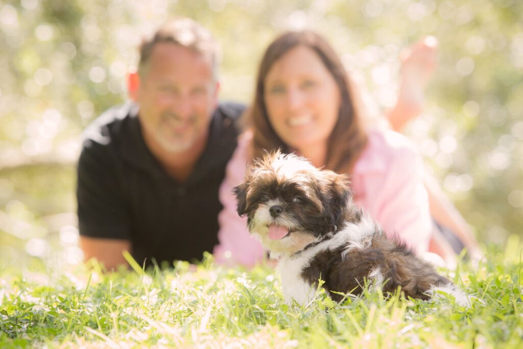 family photo shoot with dog