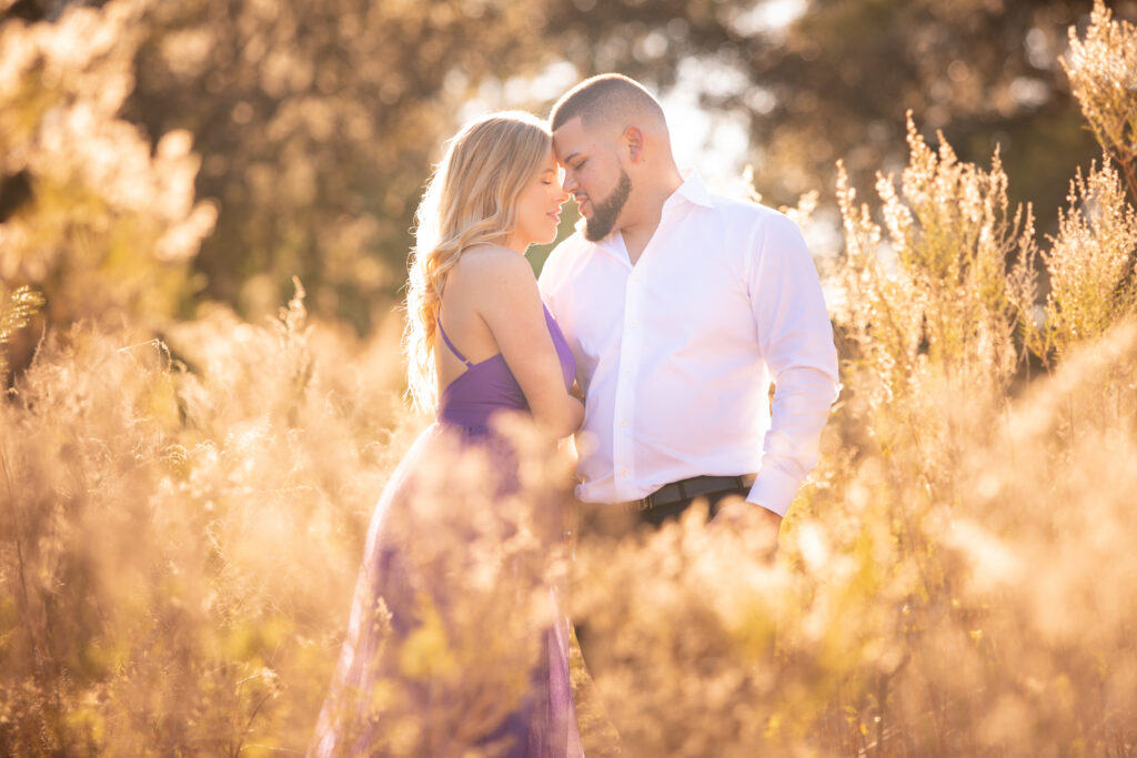 couple standing in a field during golden hour for engagement photoshoot - average photographer cost