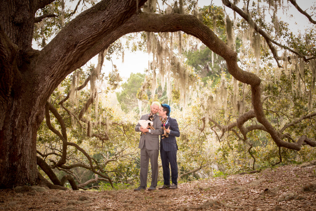 couple wearing matching suits for their engagement photo shoot outfits ; couple is standing underneath a willow tree holding their pets